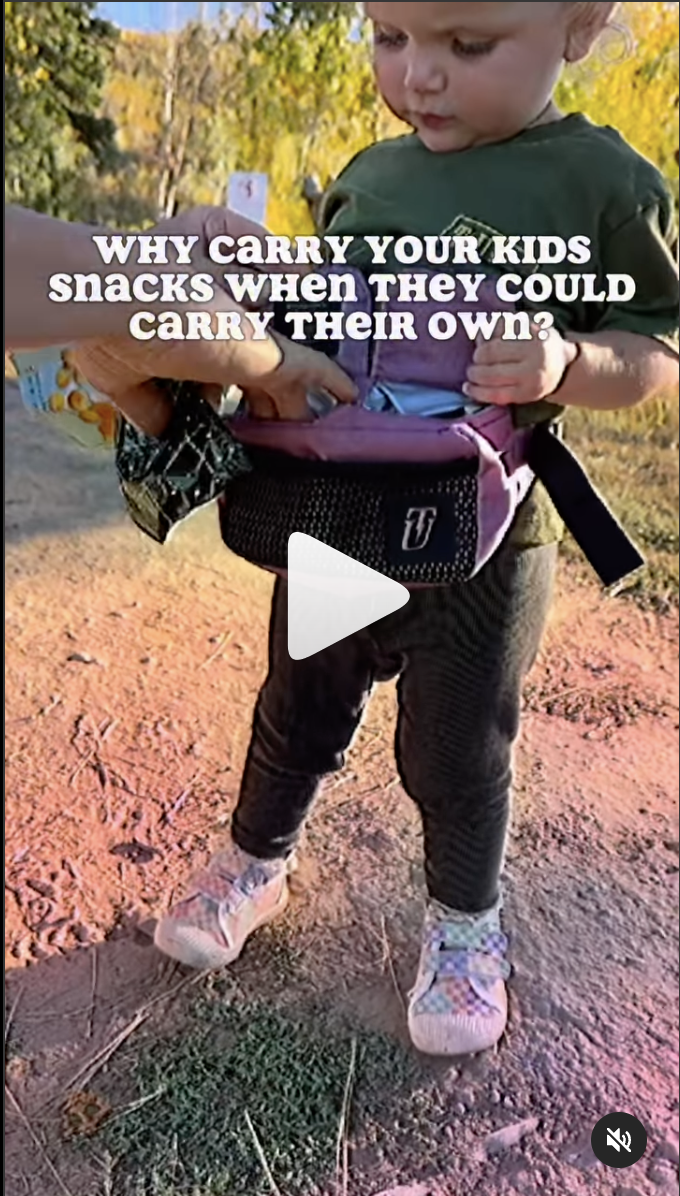 Thumbnail for Snack companies love this bag